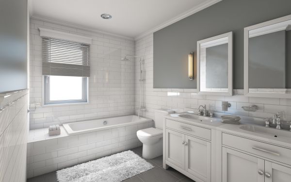 Restroom Remodeling in Conroe